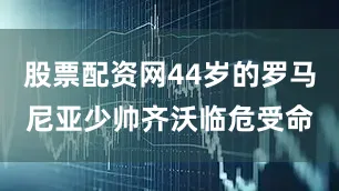 股票配资网44岁的罗马尼亚少帅齐沃临危受命