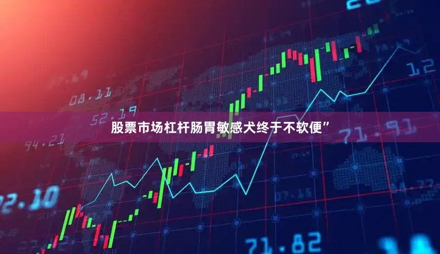 股票市场杠杆肠胃敏感犬终于不软便”